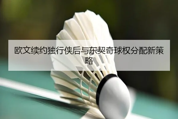欧文续约独行侠后与东契奇球权分配新策略